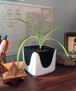 The Wise Planter -- Wave Style