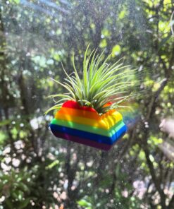 Rainbow Cloud Planter